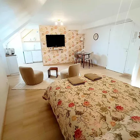Apartamento Le Rachel *