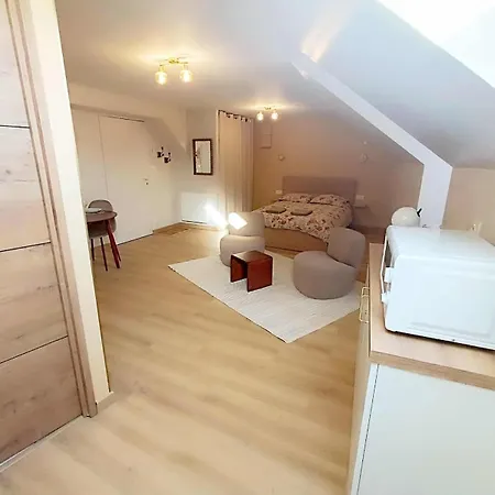 Apartment Le Rachel Cholet