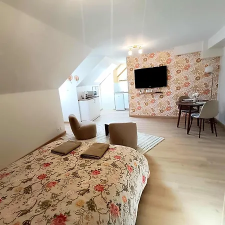 Apartment Le Rachel Cholet