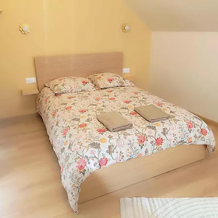Apartment Le Rachel *