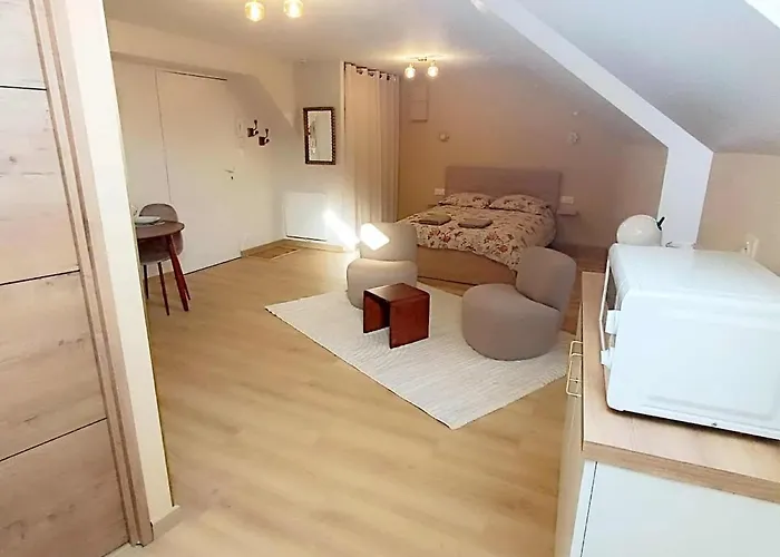 Appartamento Le Rachel Cholet